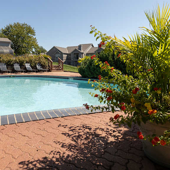 A tranquil pool surrounded by lounge chairs and greenery.
